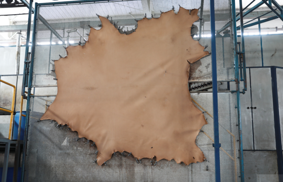 The importance of processing